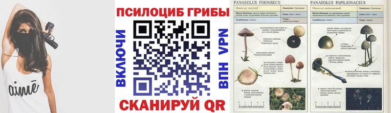Галлюциногенные грибы Psilocybine cubensis  мега зеркало  Бикин 